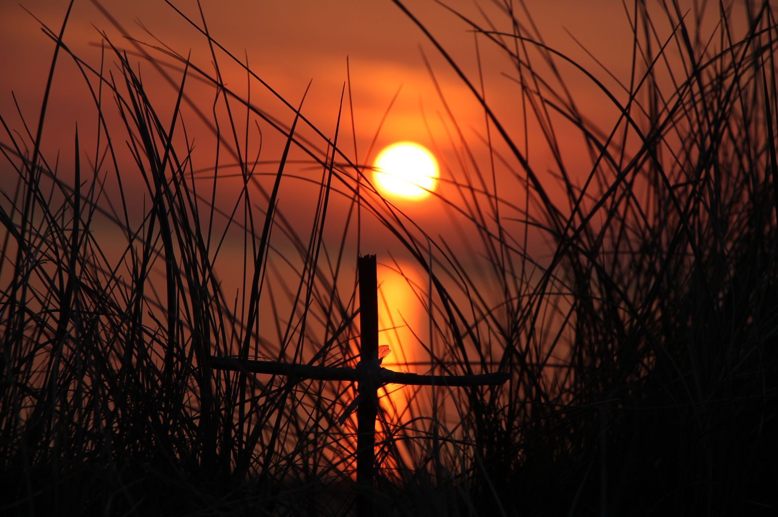 The sun setting over the sea